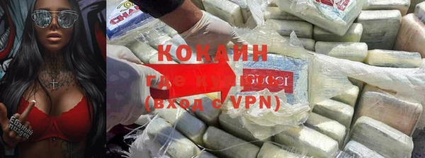 ГАЛЛЮЦИНОГЕННЫЕ ГРИБЫ Арсеньев
