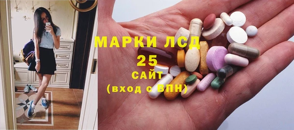MESCALINE Аркадак